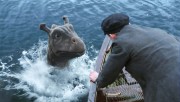 Мой Домашний Динозавр / The Water Horse Legend Of The Deep (2007) 81d9c8477289236
