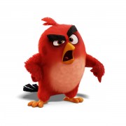 Сердитые птички / Angry Birds (2016) A78657481276251