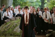 Гарри Поттер и узник Азкабана / Harry Potter and the Prisoner of Azkaban (Уотсон, Гринт, Рэдклифф, 2004) 0b3849482482443
