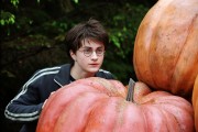Гарри Поттер и узник Азкабана / Harry Potter and the Prisoner of Azkaban (Уотсон, Гринт, Рэдклифф, 2004) 1320bc482482043