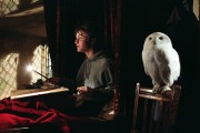 Гарри Поттер и узник Азкабана / Harry Potter and the Prisoner of Azkaban (Уотсон, Гринт, Рэдклифф, 2004) 84566d482482087