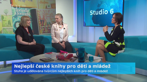 Obrázek