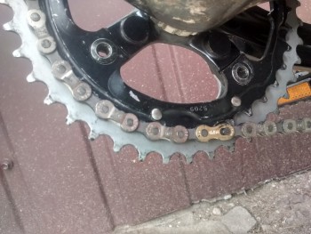 2cdeb9483446989.jpg