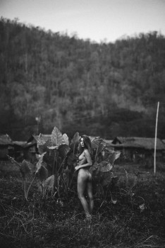 ImageBam image upload