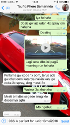 ImageBam image upload