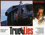 Правдивая ложь / True Lies (Арнольд Шварценеггер, Джейми Ли Кертис, 1994) 056fd8490952885
