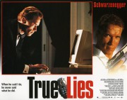 Правдивая ложь / True Lies (Арнольд Шварценеггер, Джейми Ли Кертис, 1994) A2e234490952878