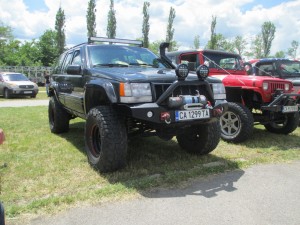 59785e492416005.jpg