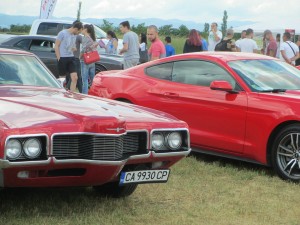 5aae5f492414111.jpg