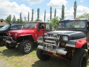 8710fc492415999.jpg