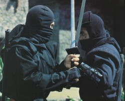Американский ниндзя / American Ninja (1985) Майкл Дудикофф 8aeaf2495068562