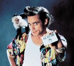 Эйс Вентура - Розыск домашних животных / Ace Ventura - Pet Detective (Джим Керри, 1994)  136025496787907