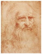 Leonardo da Vinci 556004497276887