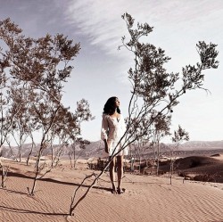 http://thumbnails115.imagebam.com/49848/9f767b498473898.jpg