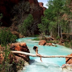 http://thumbnails115.imagebam.com/49848/e191c3498473904.jpg