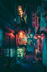 Ночной Токио. Потрясающие фотографии Масаси Вакуи / Masashi Wakui (17хHQ) 0cdcfa498765492