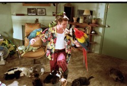 Эйс Вентура - Розыск домашних животных / Ace Ventura - Pet Detective (Джим Керри, 1994)  8b114d499184742