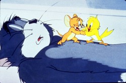 Том и Джерри / Tom and Jerry Classic  47cdcc502856465