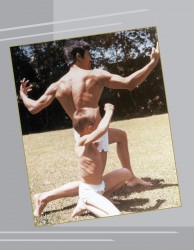 Брюс Ли (Bruce Lee) "BRUCE LEE: The Dragon Remembered; A Photographic Retrospective" by Linda Palmer 797d2f503683160