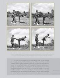 Брюс Ли (Bruce Lee) "BRUCE LEE: The Dragon Remembered; A Photographic Retrospective" by Linda Palmer 9ca281503682988