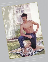Брюс Ли (Bruce Lee) "BRUCE LEE: The Dragon Remembered; A Photographic Retrospective" by Linda Palmer Fb8460503683201