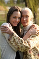 Анджелина Джоли (Angelina Jolie)  poses with Jane Goodall to promote Jane's Journey (1xHQ) 2df05b508473016