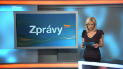 Obrázek