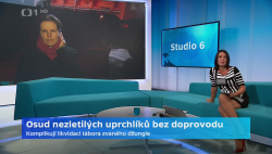 Obrázek