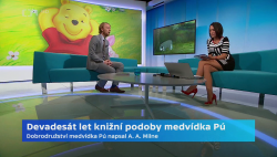 Obrázek