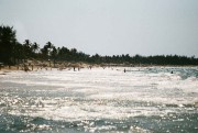 e08436510206309.jpg