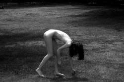 http://thumbnails115.imagebam.com/51153/a856da511522409.jpg