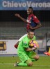 фотогалерея Bologna FC - Страница 2 168de3511890751