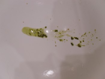 136634512037930.jpg