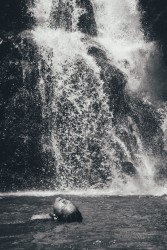 2c13a7512227023.jpg