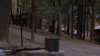 Pink Cadillac (1989).avi DvdRip AC3 iTA